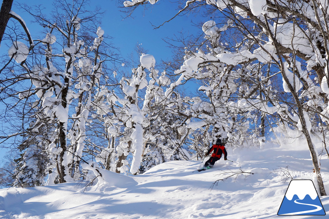 カムイスキーリンクス 今季ICチケット導入＆新装OPENのセンターハウスで快適度アップ☆そして、粉雪が舞い上がる尾形信の『パウダーガイド』!!